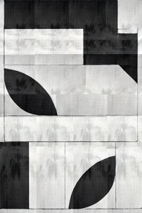Monochrome Organic Shapes by cartissi