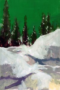 Snowy Path Green Sky by cartissi