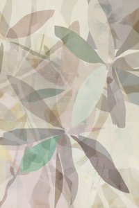 Soft Abstract Leaves
