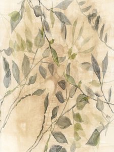 Soft Botanical Leaves by cartissi
