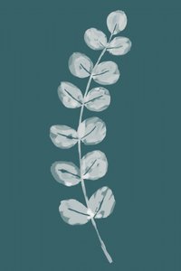 Soft Eucalyptus Leaves by cartissi