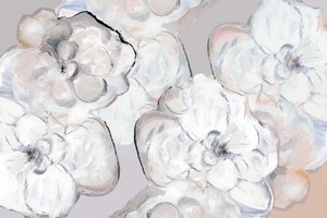 Soft White Blooms by cartissi