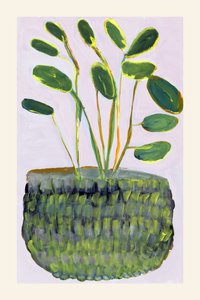Vibrant Potted Plant