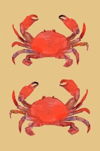 Vibrant Red Crabs