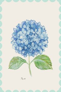 Vintage Blue Hydrangea Bloom