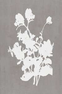 White Floral Silhouette