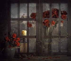 Dark Window Flowers
