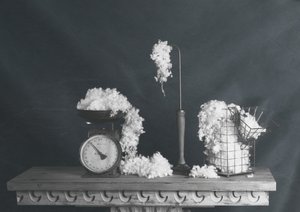 Vintage Cotton Still Life