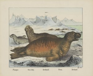 Seal by firma Joseph Scholz