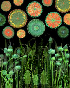 Fantasy Botanical Patterns by giovanna nicolo