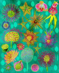 Vibrant Botanical Garden by giovanna nicolo