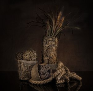 Rustic Earthy Still Life by larryliu