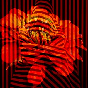 Flower Collage
