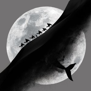 Moon Whale Desert Journey by nargesjabbari