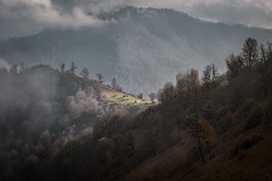 Misty Mountain Serenity by nima.zadshir