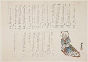Monkey in a Wedding Gown by nishi Chinnen