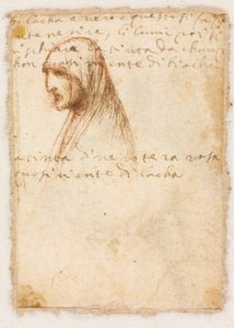 Bust-Length Profile of an Old Woman