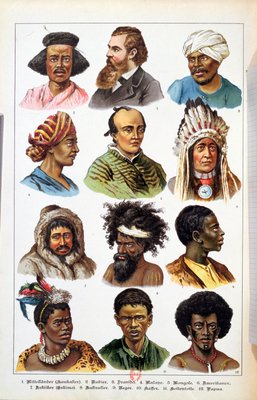 The different human races in Natural histories of mammals