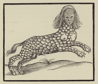 Four-legged creature with a body covered in scales by (after) English School