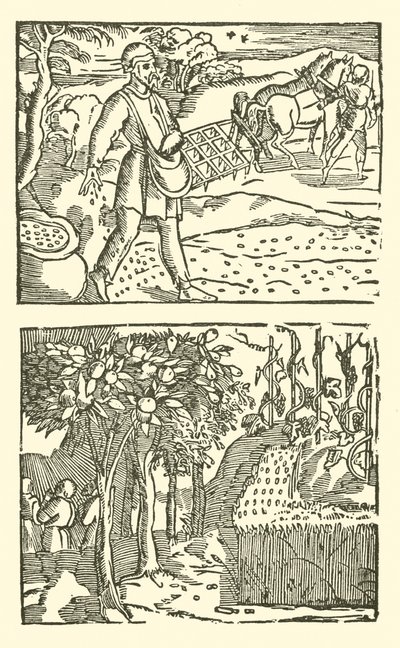 Illustration for The Roxburghe Ballads by (after) English School