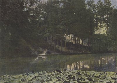 Bois de Boulogne, The Reservoir by (after) French Photographer