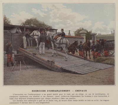 Embarkation Exercises, Horses by (after) French Photographer
