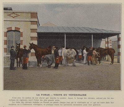 The Forge, Visit of the Veterinarian by (after) French Photographer