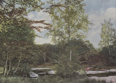 The Fairy Pond by (after) French Photographer