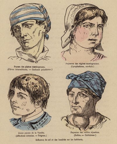 Influence of the Sun and Geographical Location on People by (after) French School