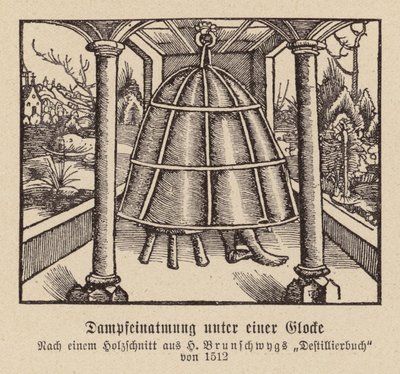 Steam Inhalation Under a Bell by (after) German School