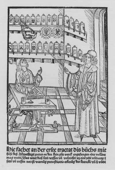The Book of Cirurgia by Hieronymus Brunschwig by (after) German School
