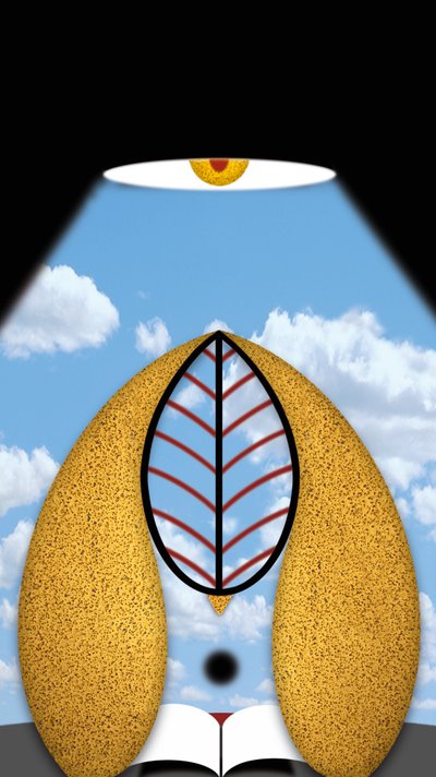 Das nachdenkliche Licht by Alexander Eibach