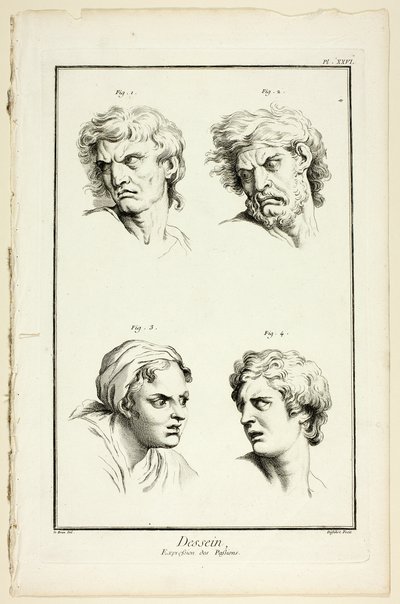Expressions of Emotion (Hate or Jealousy, Anger, Desire, Physical Pain), from Encyclopédie by A. J. Defehrt