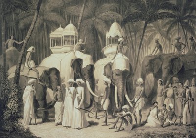 Elephants of the Raja of Travandrum, from 