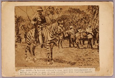 Horse and Cruiser Camouflaged, study folder for book Concealing Coloration in the Animal Kingdom by Abbott Handerson Thayer
