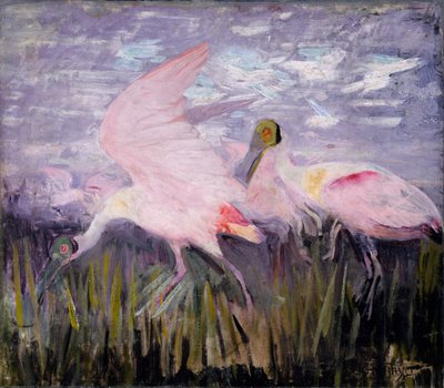 Roseate Spoonbills, Study for Book Concealing Coloration in the Animal Kingdom by Abbott Handerson Thayer