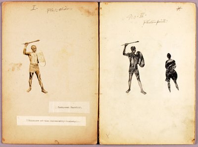 Tattooing--Single Warrior, Study Folder for Book Concealing Coloration in the Animal Kingdom by Abbott Handerson Thayer