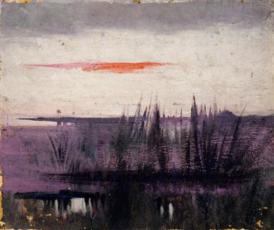 The Sky Simulated by White Flamingoes Study for Book in the Animal Kingdom by Abbott Handerson Thayer