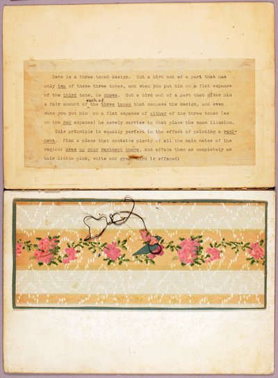 Three-Toned Bird Design, Study Folder for Book Concealing Coloration in the Animal Kingdom by Abbott Handerson Thayer