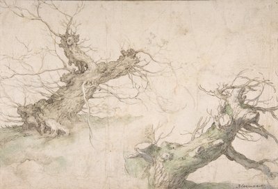 Studies of Two Pollard Willows, Verso: Wide Landscape Prospect by Abraham Bloemaert