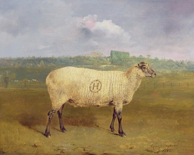 A Prize Ewe with monogram 