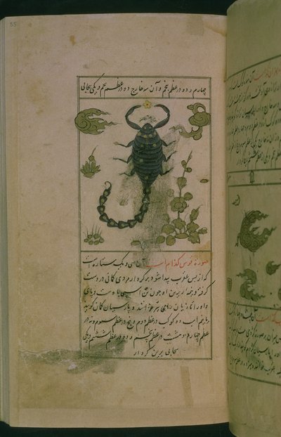 Constellations of the zodiac: Scorpio, the Scorpion, from Talim dar marifat i taqvuim, 1498 (903 Hijra) by Abu Jafar al Tabari