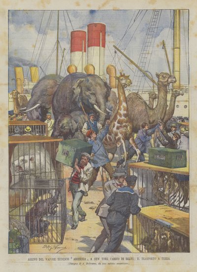 Arrival of the German Steamer Abissinia in New York Loaded with Beasts, The Transport to Land by Achille Beltrame