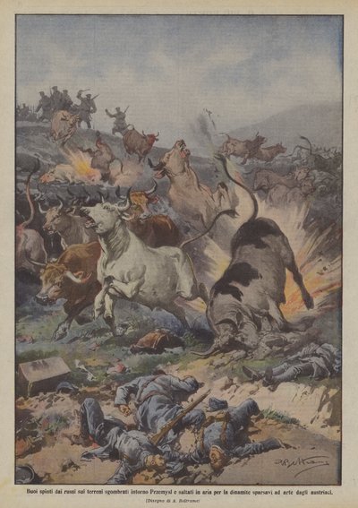 Oxen Driven by Russians on Cleared Lands Around Premysl Blown Up by Dynamite by Achille Beltrame