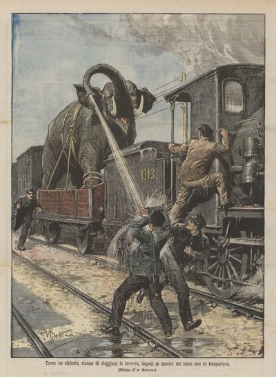 How an elephant, tired of traveling by train, stopped the train carrying it by Achille Beltrame