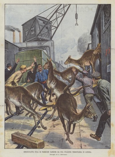 Exciting Escape of Several Kangaroos from a London Railway Station by Achille Beltrame