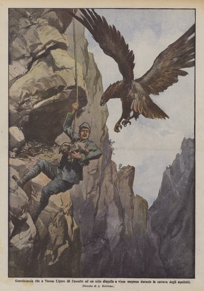 Gamekeeper in Varese Ligure Attacks an Eagle