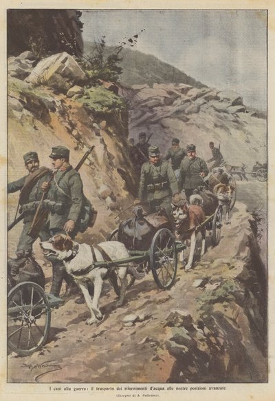 Dogs at war, transporting water supplies to our advanced positions by Achille Beltrame