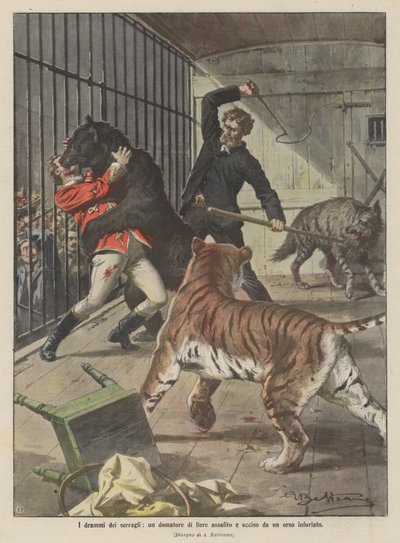 The dramas of the menageries, a wild animal tamer attacked and killed by an enraged bear by Achille Beltrame