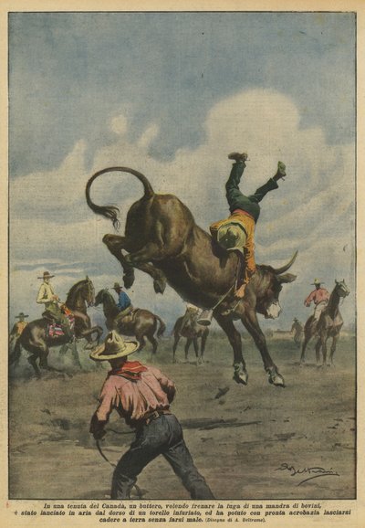 On a Canadian Estate, a Cowboy Trying to Stop a Herd of Cattle? by Achille Beltrame